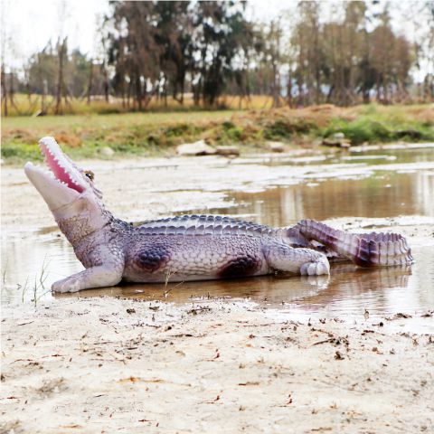 玻璃钢鳄鱼-湿地公园水塘鳄鱼雕塑