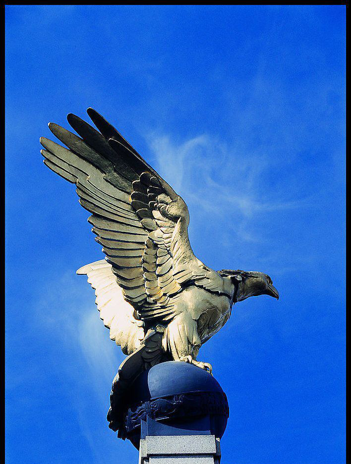 广场不锈钢展翅的雄鹰雕塑图片